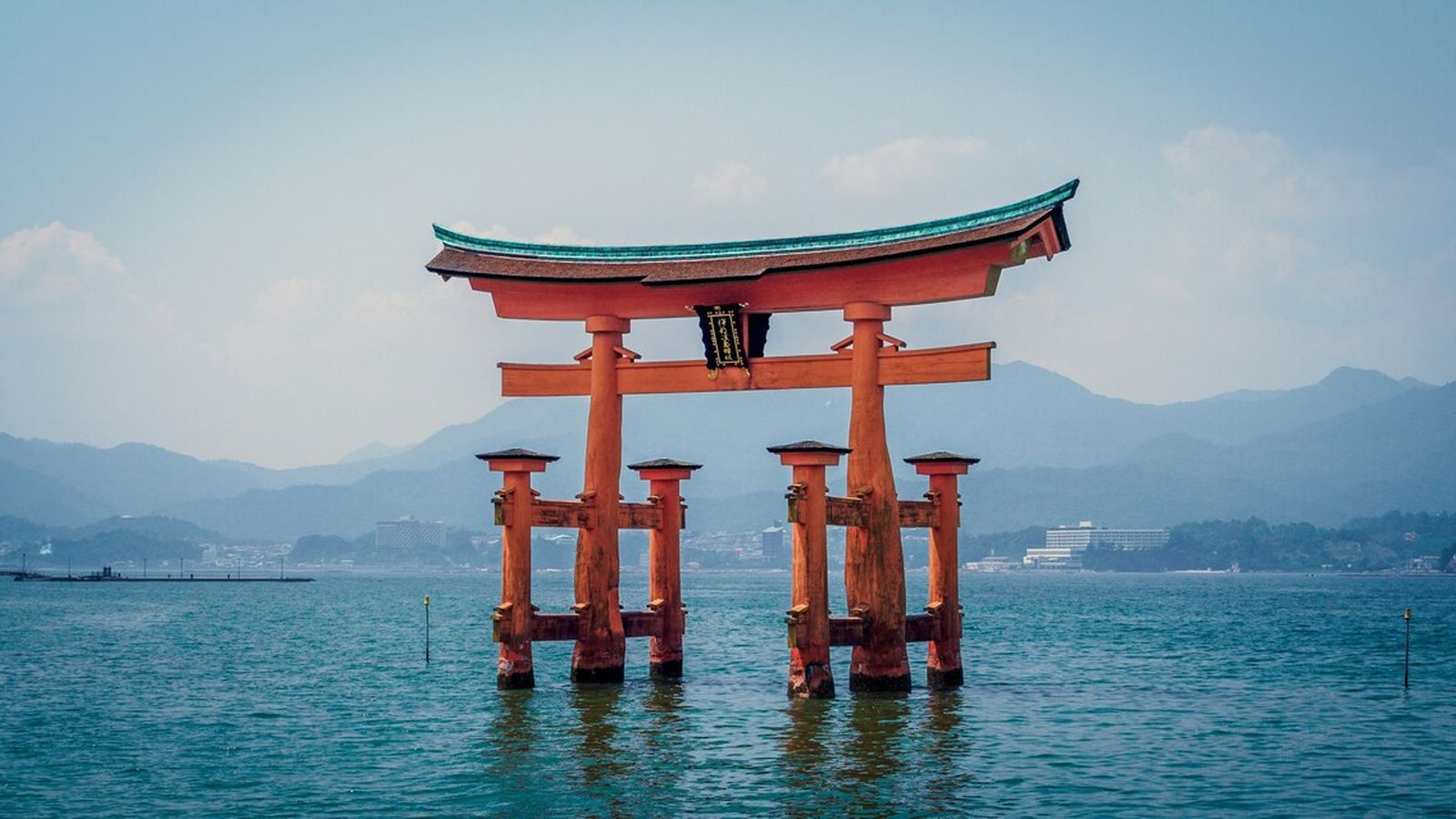 現代の生け花:アートとしての再構築